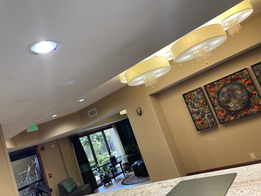 Hampton Inn & Suites By Hilton In Hot Springs, Arkansas מראה חיצוני תמונה